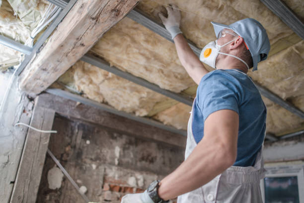 Best Insulation Materials and Products in Tipton, IA