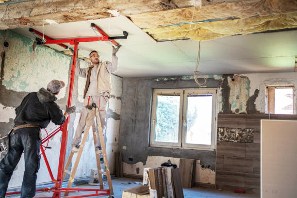 Best Specialty Insulation in Tipton, IA